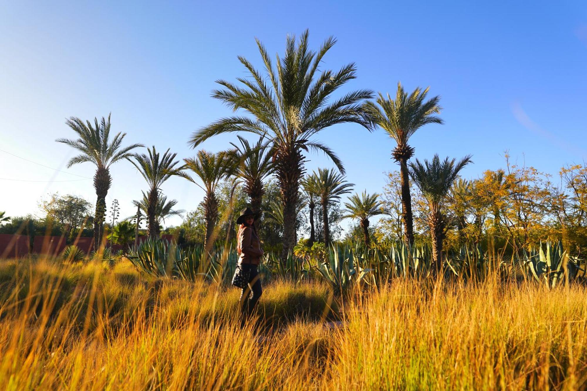 Jnan Lotf Marrakech - Le Jardin De La Bienviellance Hotel El Harkat Luaran gambar